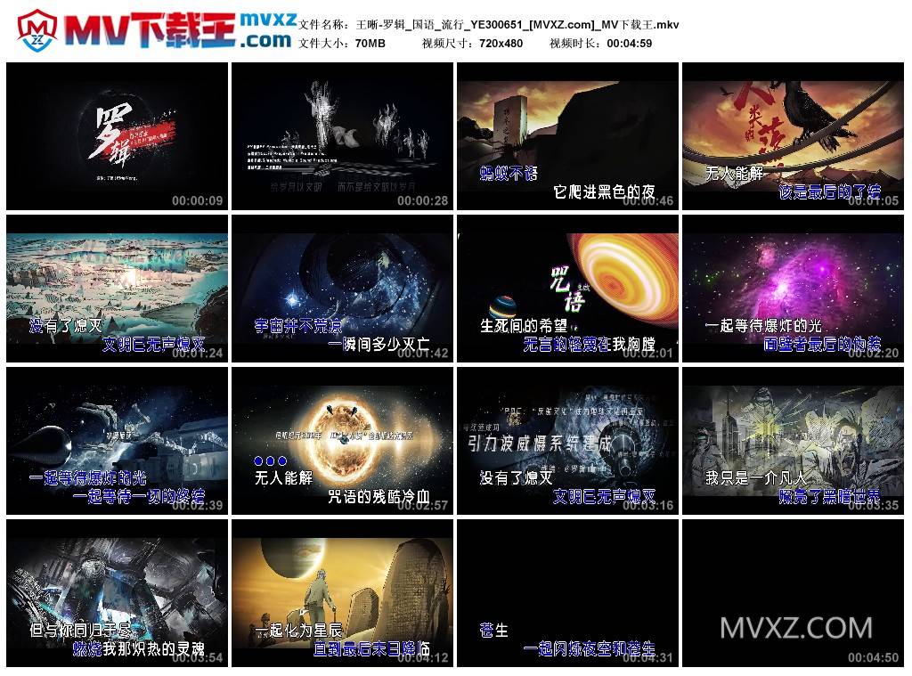 王晰-罗辑_国语_流行_YE300651